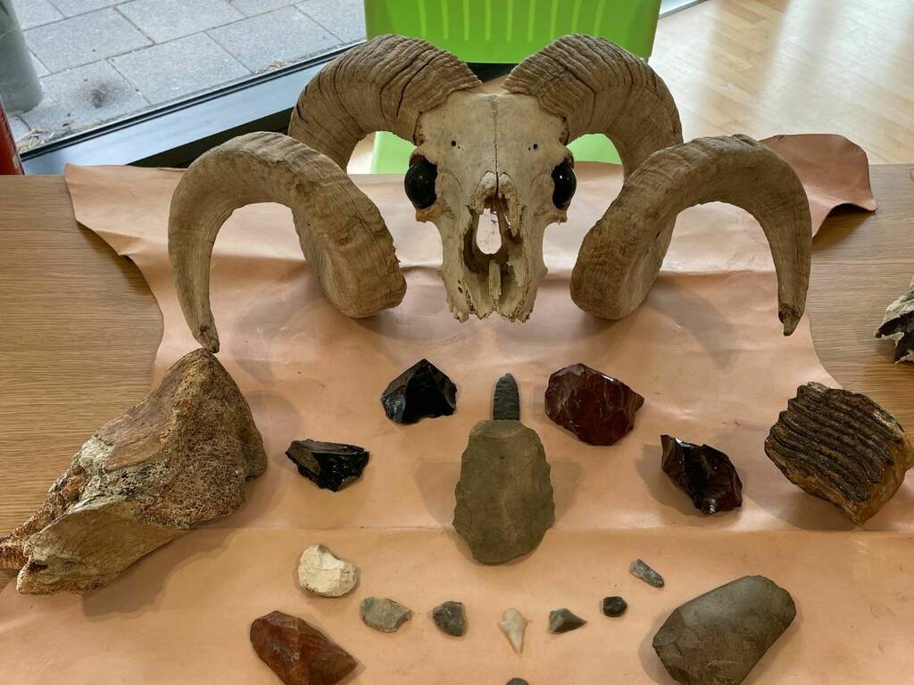 Festival of Archaeology 5