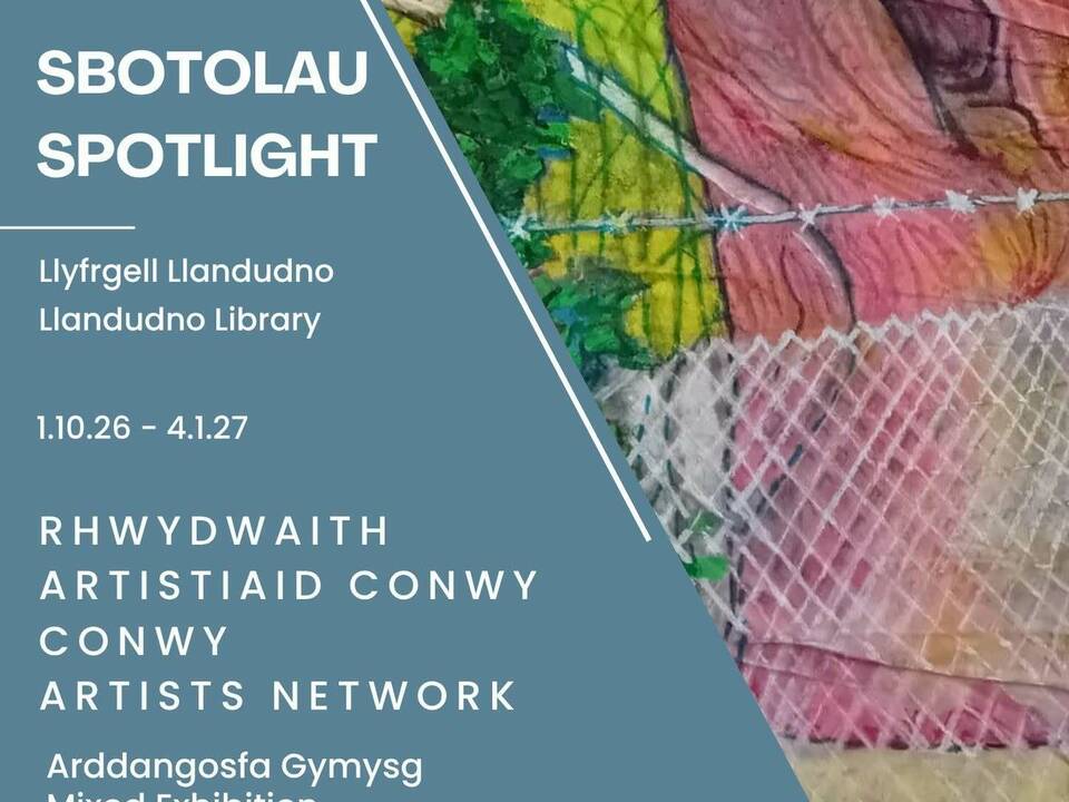 Sbotolau: Arddangosfa Gymysg